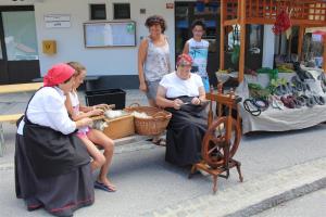 Predice so krtačile in predle volno